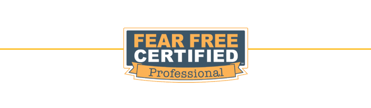 fear free certified veterinarian